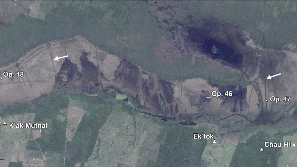 Sistema de canales y estanques como trampa para pescar peces en Belice.