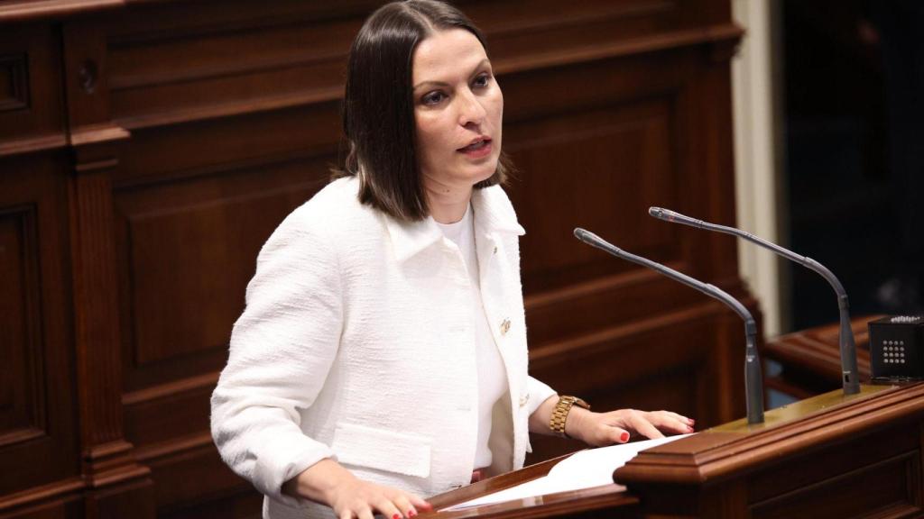 La consejera canaria Migdalia Machín, durante una comparecencia.