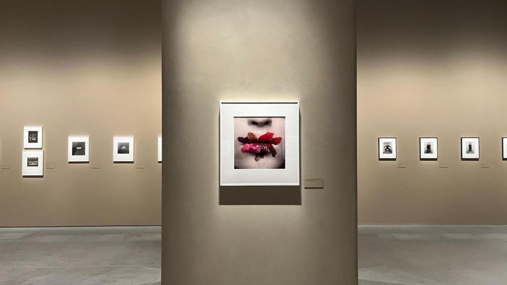 Irving Penn Centennial en A Coruña