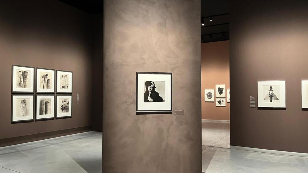 Irving Penn Centennial en A Coruña