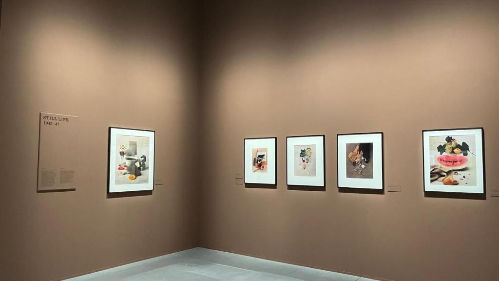 Irving Penn Centennial en A Coruña