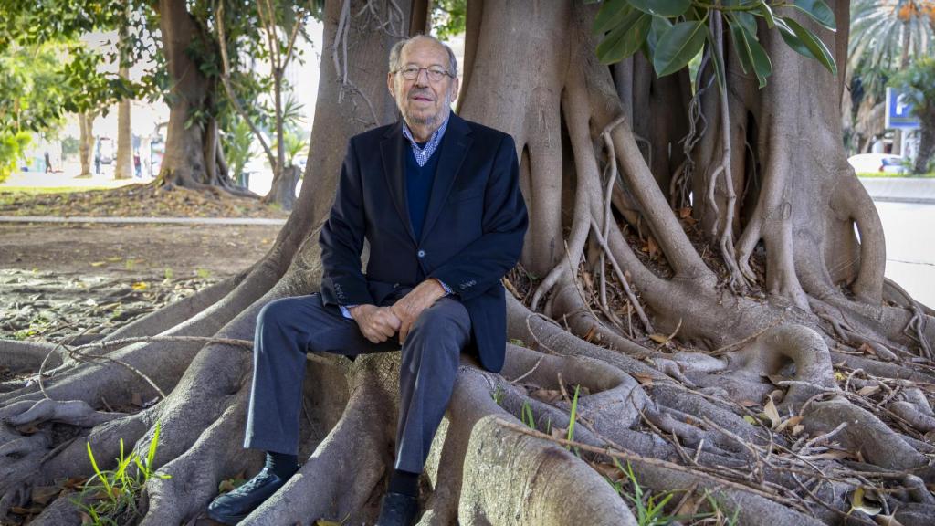 Enrique Linde, sentado en un árbol.