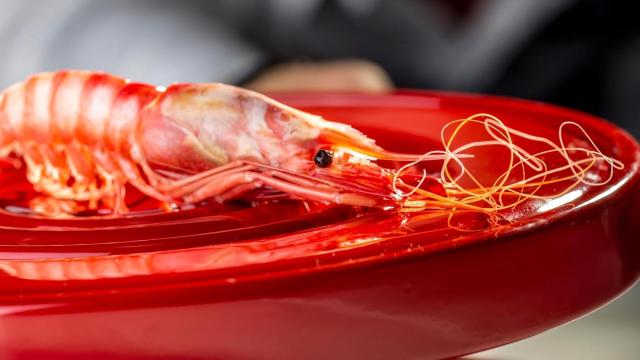 La gamba roja preparada por el cocinero Quique Dacosta.