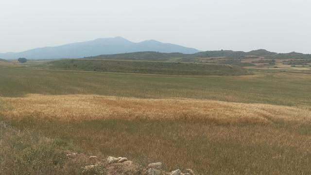 Sequía en Soria