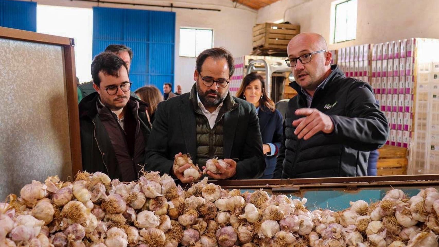 Paco Núñez, este viernes en Corral-Rubio.