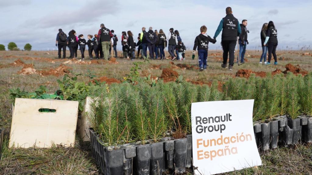 La Fundación Renault Group planta su cuarto bosque reafirmando su compromiso con la descarbonización. Se han plantado cuatro hectáreas de árboles entre Ciguñuela y Robladillo  3