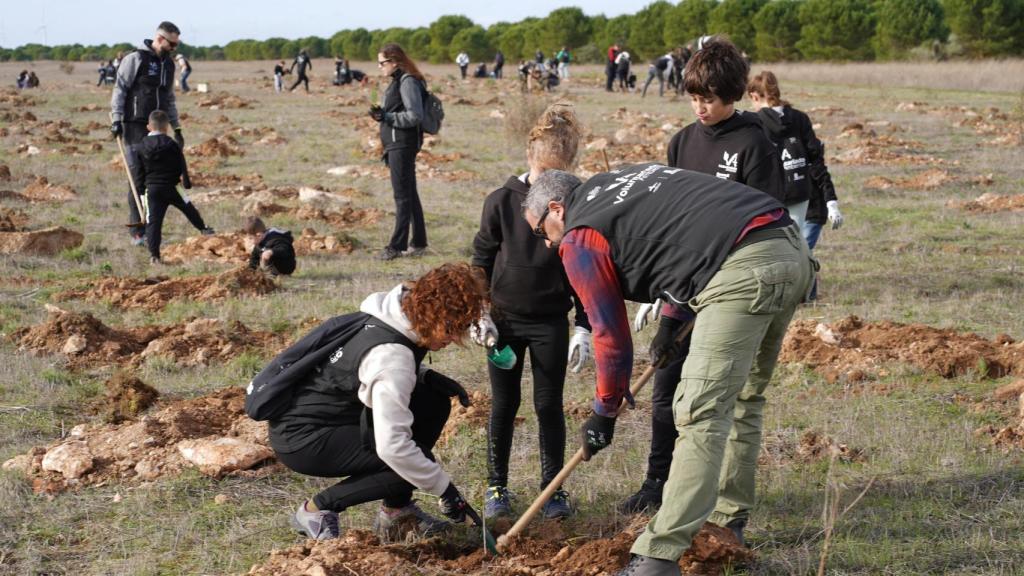 La Fundación Renault Group planta su cuarto bosque reafirmando su compromiso con la descarbonización. Se han plantado cuatro hectáreas de árboles entre Ciguñuela y Robladillo  (2)