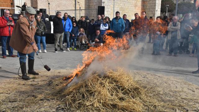 Valdestillas vuelve a oler a gastronomía, folclore y tradición: la matanza del cerdo será siempre eterna