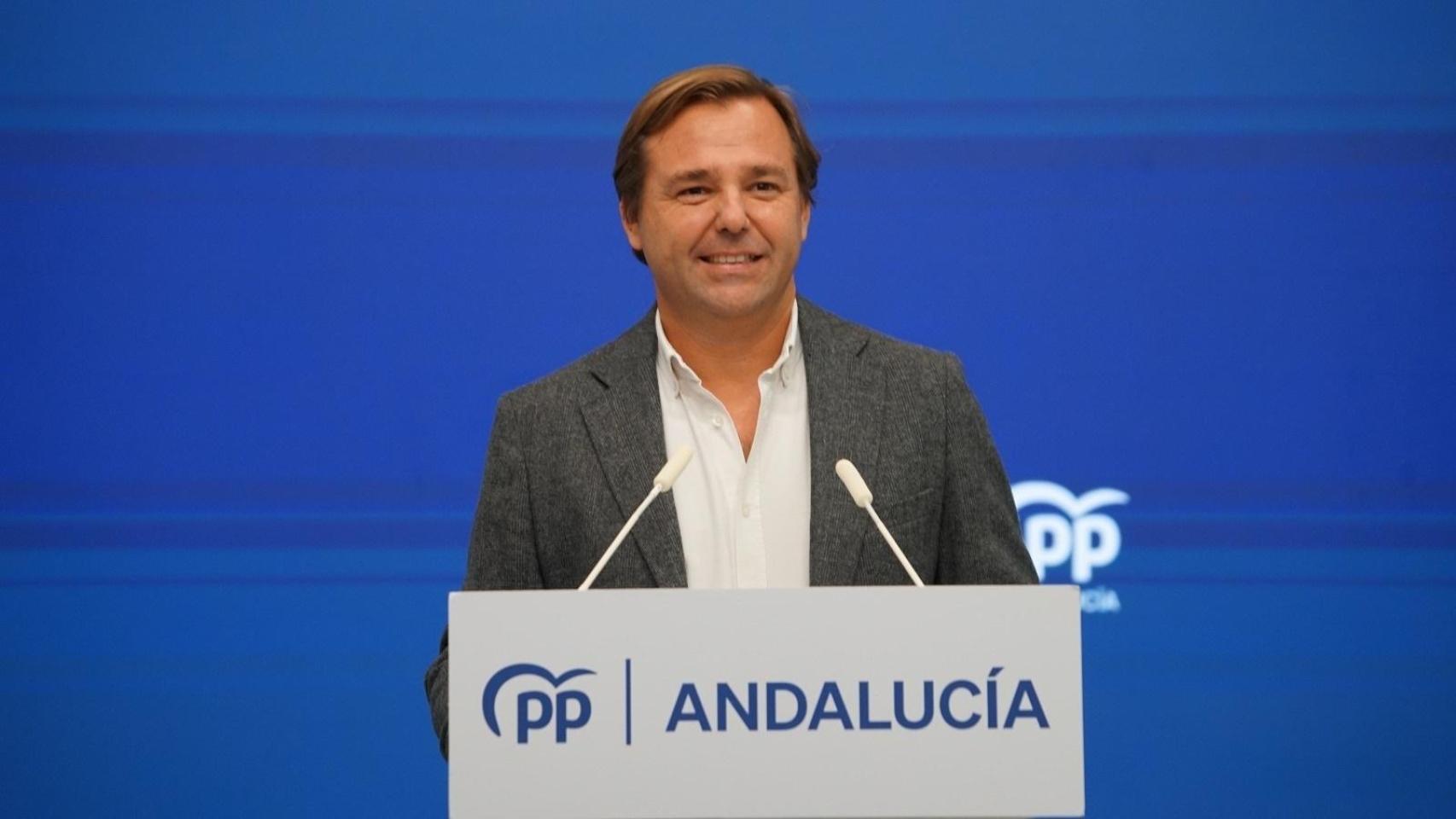 Antonio Repullo, en la sede del PP andaluz.