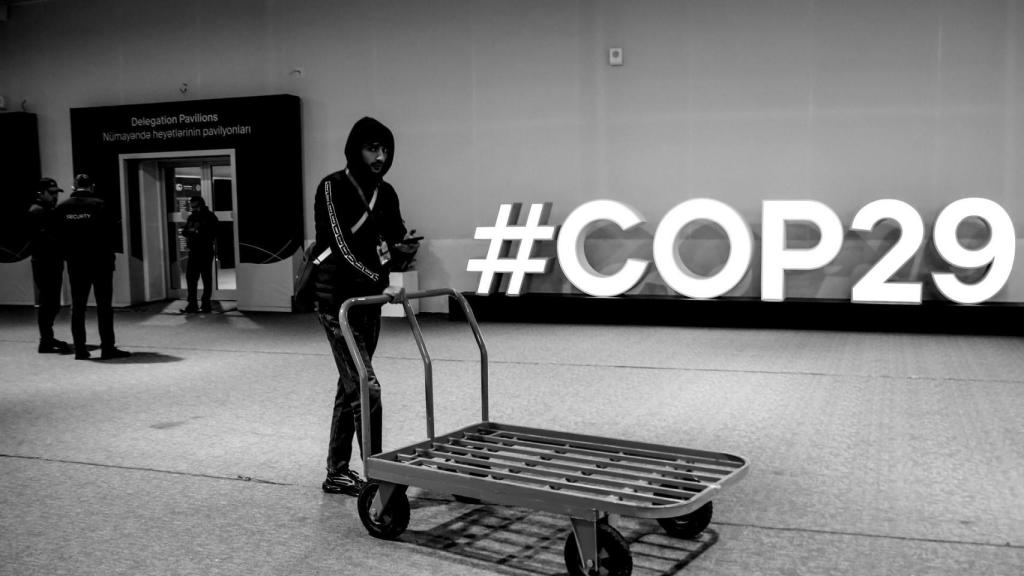 COP29