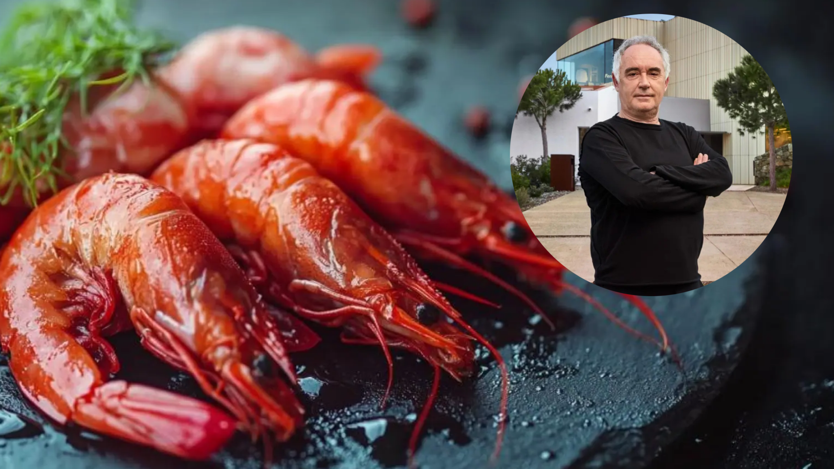 El sencillo truco de Ferran Adrià para que las gambas queden perfectas: “La gente lo deja 3 minutos y después es caucho”