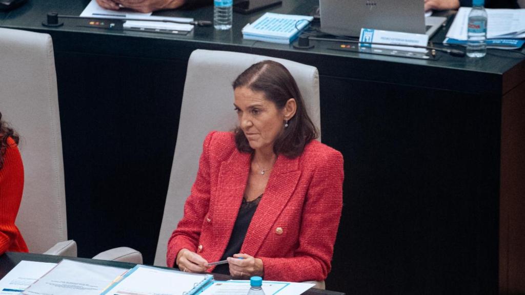 La portavoz del PSOE en el Ayuntamiento de Madrid, Reyes Maroto, en una sesión plenaria en el Palacio de Cibeles.