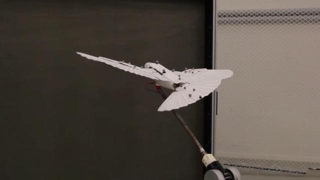 El dron LisRaptor en uno de los experimentos