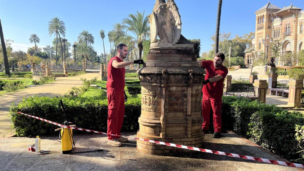 Trabajos de mantenimiento en las águilas imperiales del Parque de María Luisa.