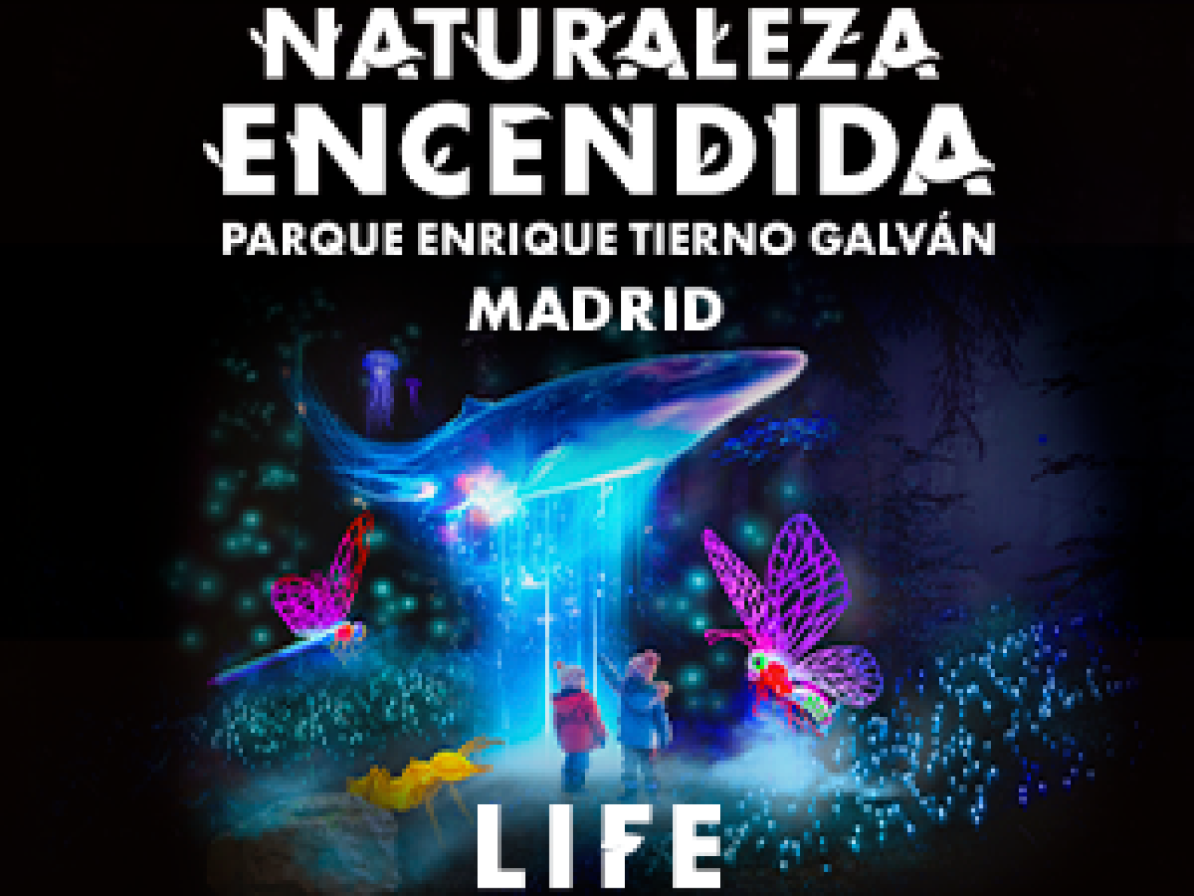 Naturaleza Encendida: el evento más esperado de la Navidad