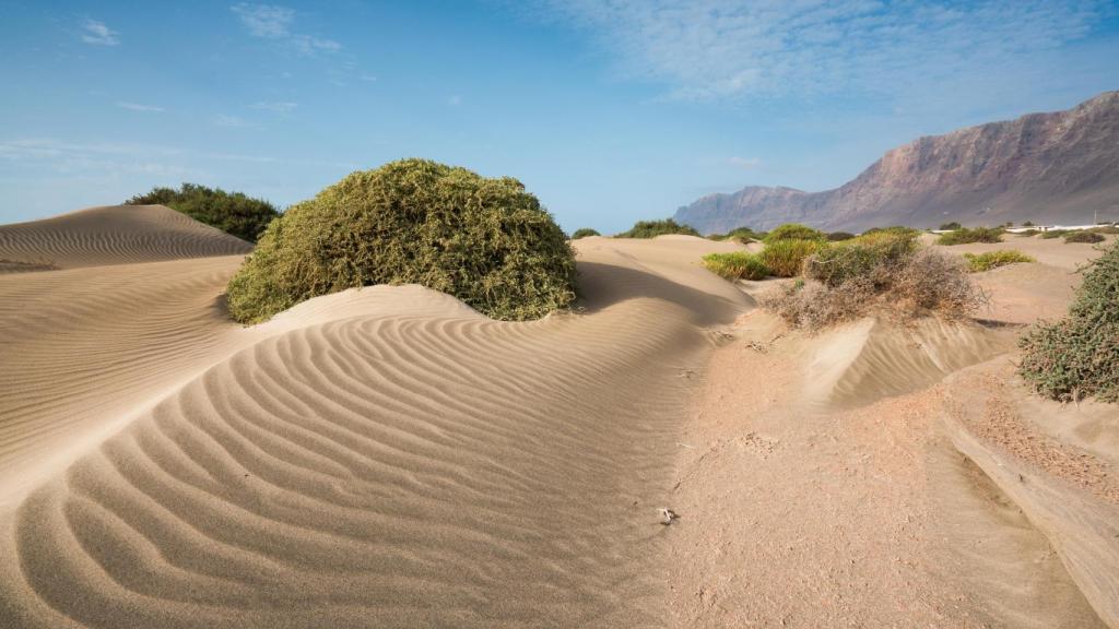 Dunas con Risco de Famara.