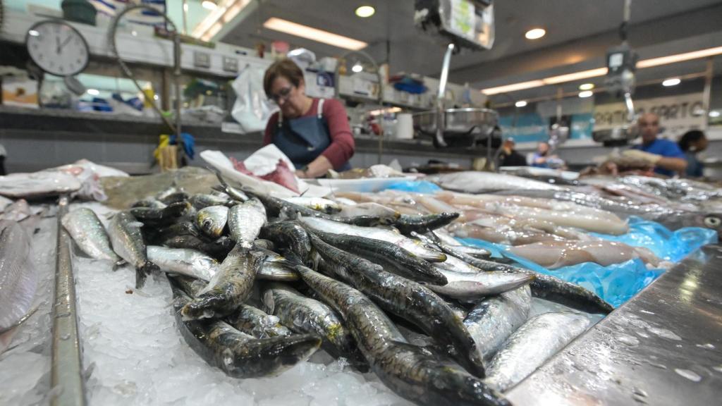 Sardinas en las pescaderías de la Praza de Lugo, a 22 de junio de 2023, en A Coruña. M. Dylan / EP