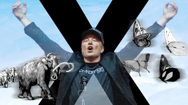 La batalla cultural contra Elon Musk. Diseño: Rubén Vique.