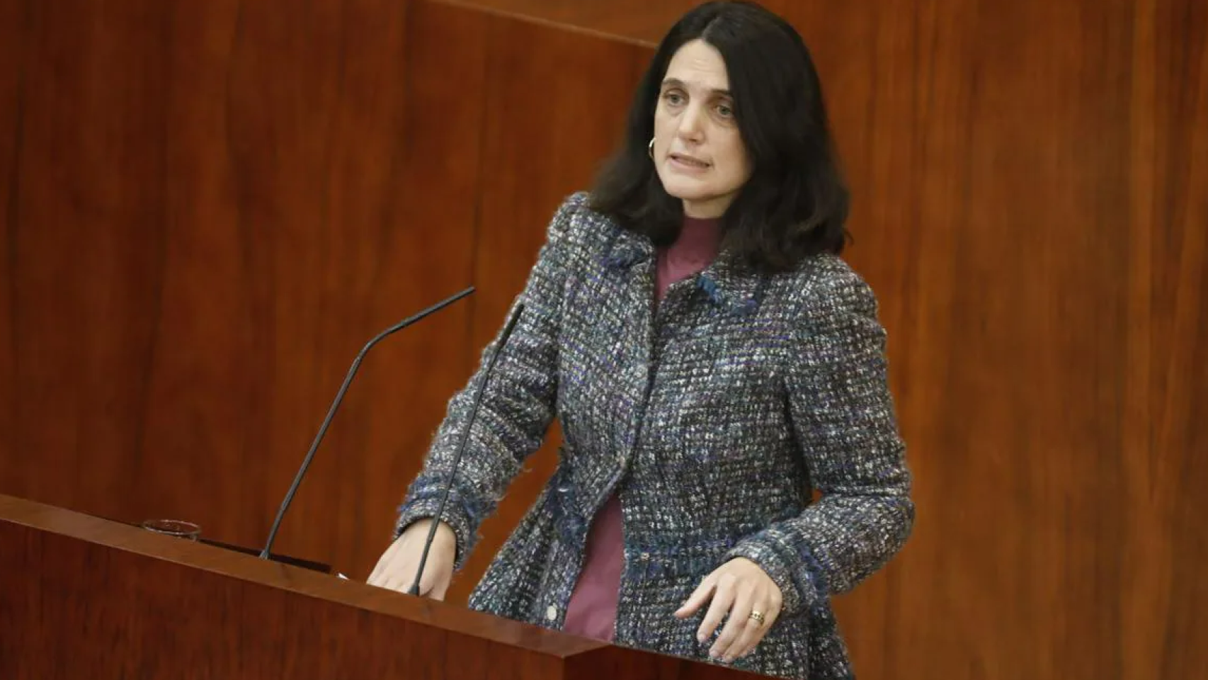 Pilar Sánchez Acera, en la Asamblea de Madrid.