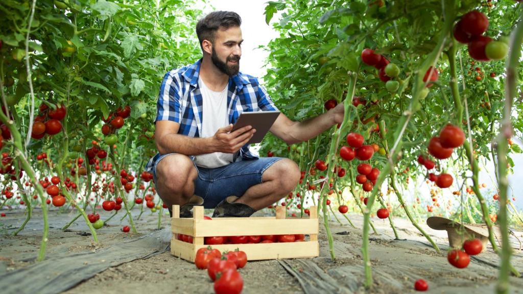 El sector 'agrifoodtech' se consolida en España al captar 179 en 2024 al calor de la inteligencia artificial