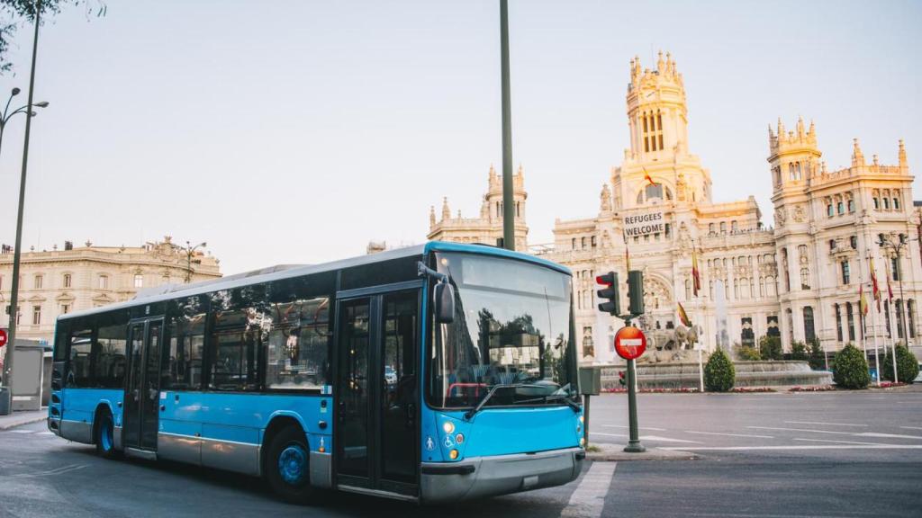 Imagen de archivo de autobuses.