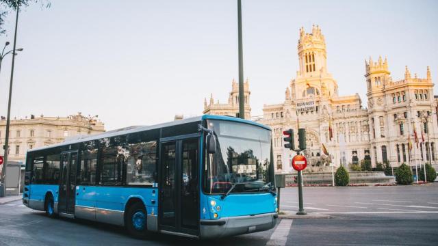 Imagen de archivo de autobuses.