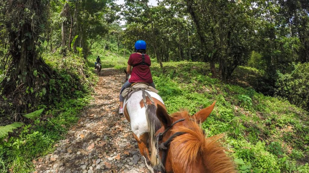 Paseo a caballo en el hotel Guachipelín.