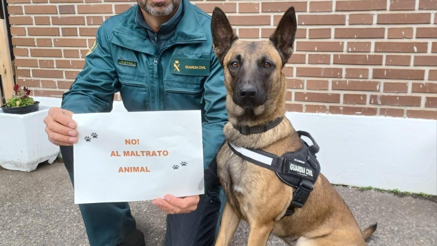 Un agente de la Guardia Civil junto a un pastor alemán