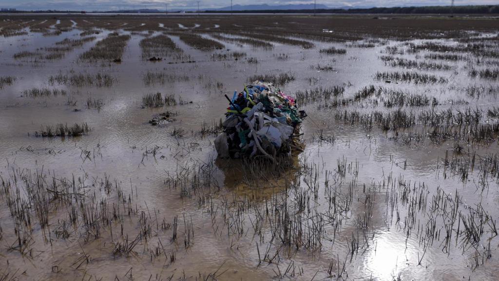 Detalle de la basura traída hasta los arrozales de La Albufera por la fuerza del agua de las inundaciones provocadas por la DANA del pasado 29 de octubre. Efe / Kai Försterling