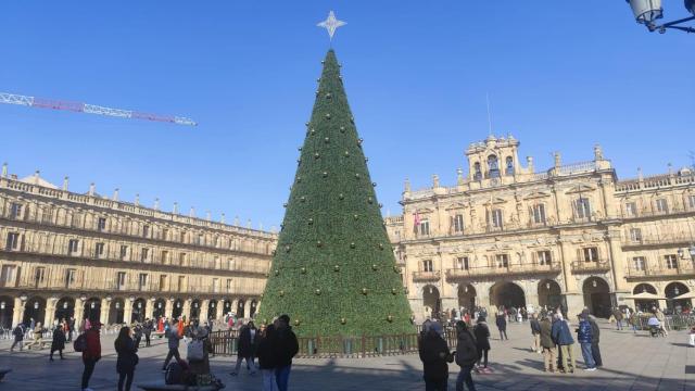 Árbol de Navidad en la Plaza Mayor de Salamanca