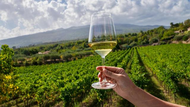 Una persona sostiene una copa de vino blanco. Imagen de archivo.