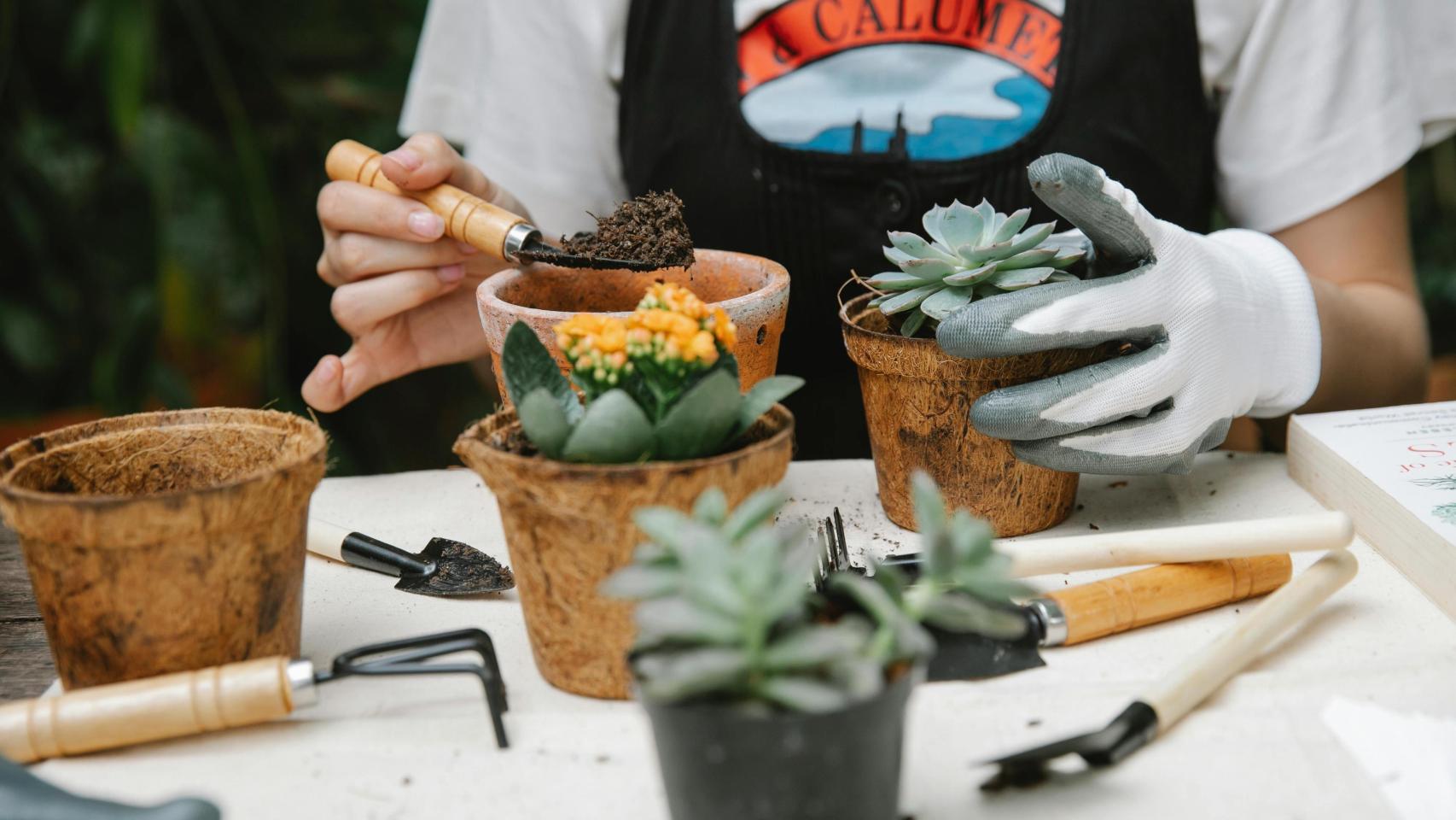 Una persona cuidando de sus plantas.