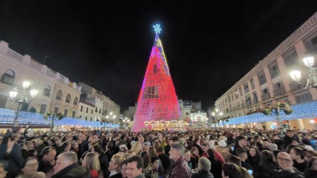 Imagen del gran árbol que se ha instalado en la Plaza Mayor de Ciudad Real.