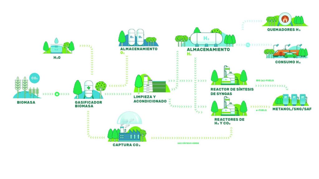 Infografía de los procesos