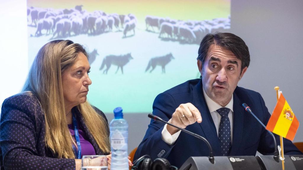 El consejero de Medio Ambiente, Vivienda y Ordenación del Territorio, Juan Carlos Suárez-Quiñones, participa en el Simposio 'Lobo y Ganado en España Hacia una solución europe (1)