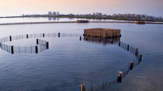 Uno de los proyectos innovadores en el Mar Menor.