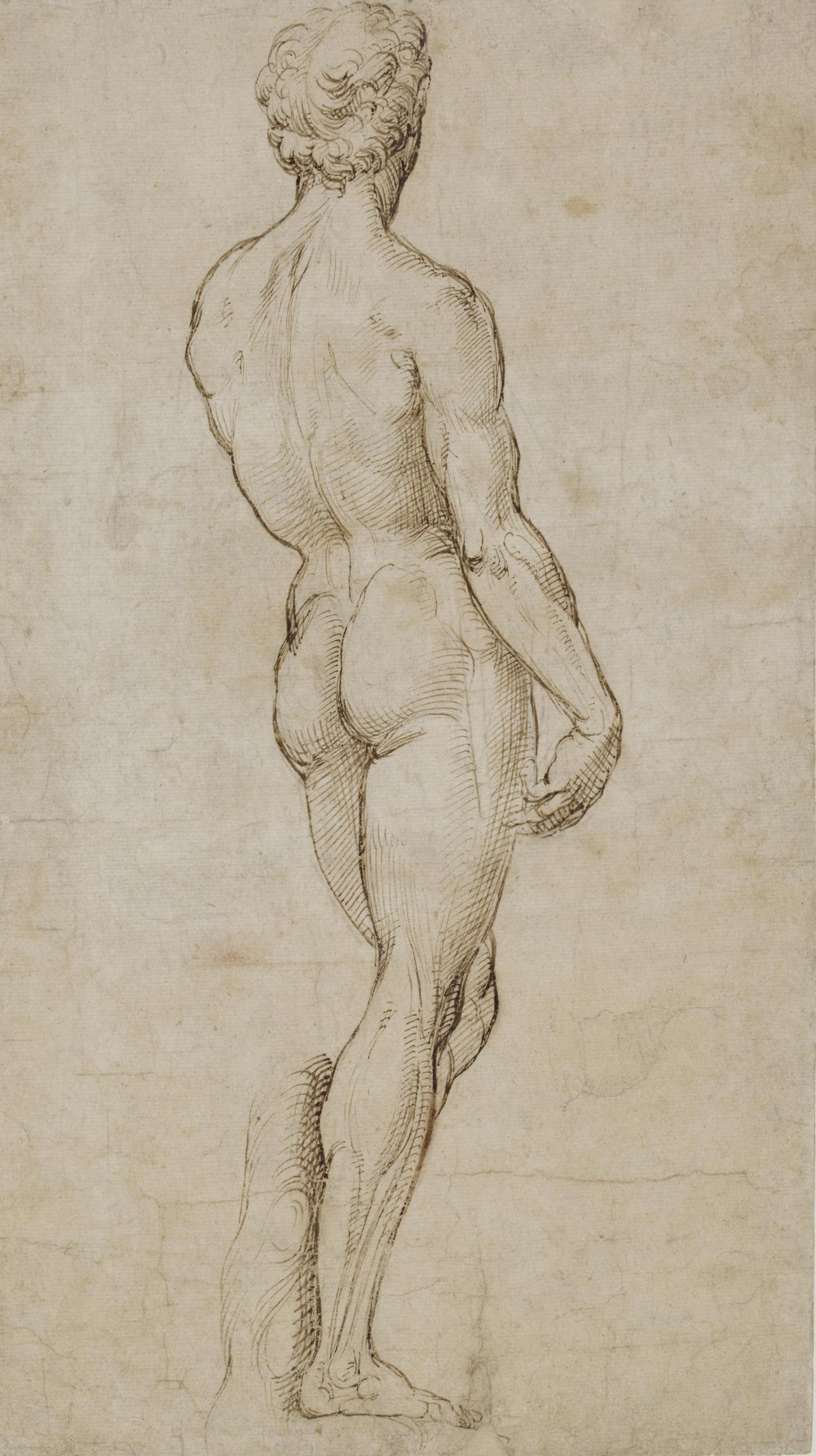 Rafael: 'David', h. 1505-08