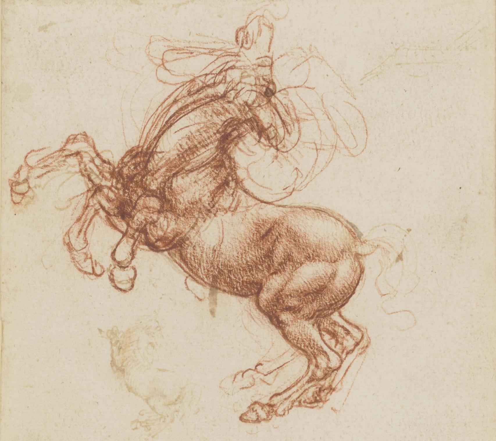 Leonardo da Vinci: 'Cría de caballo', h. 1503-05. © Royal Collection Enterprises Limited 2024