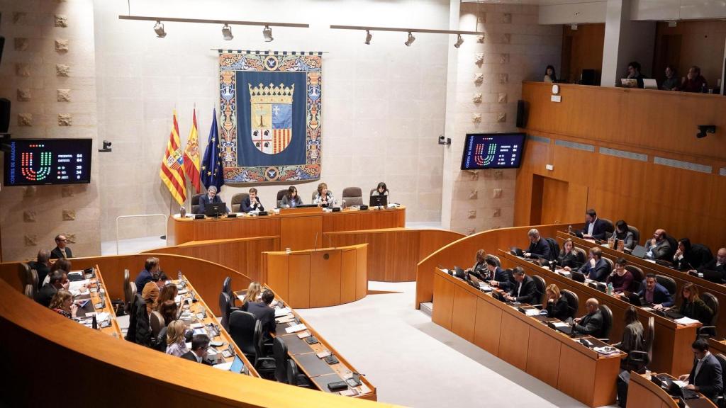 El Pleno de las Cortes aprobó la presentación de este recurso el pasado mes de junio