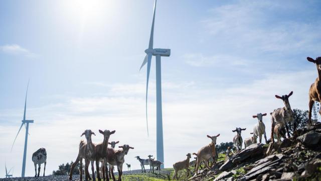 Generar energía e impacto social positivo: cómo Naturgy se convierte en “uno más en el territorio”