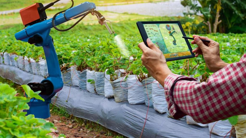 KYMI es una de las startups que han pasado ya por el Programa de Aceleración Agrofoodtech, impulsado por Innsomnia y la Escuela de Organización Industrial (EOI).