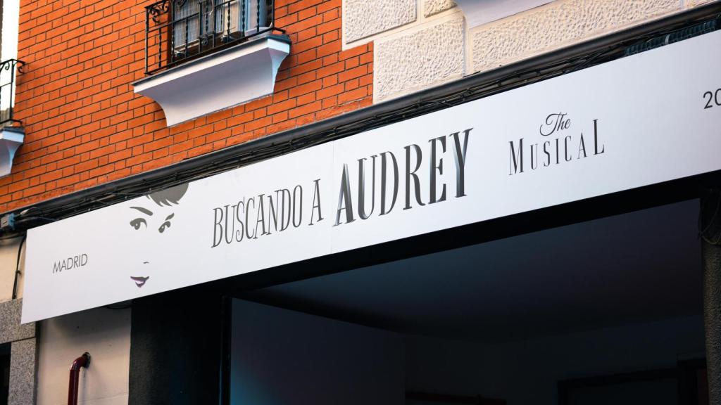 Cartel del musical 'Buscando a Audrey'.