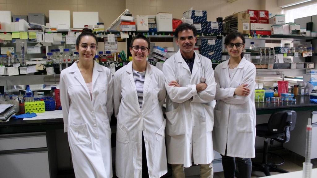 Clara García Calvo, Carla Ijurko, Ángel Hernández y Lucía Santos Sendín, en el laboratorio de Bioquímica y Biología Molecular de la Universidad de Salamanca, en la actualidad