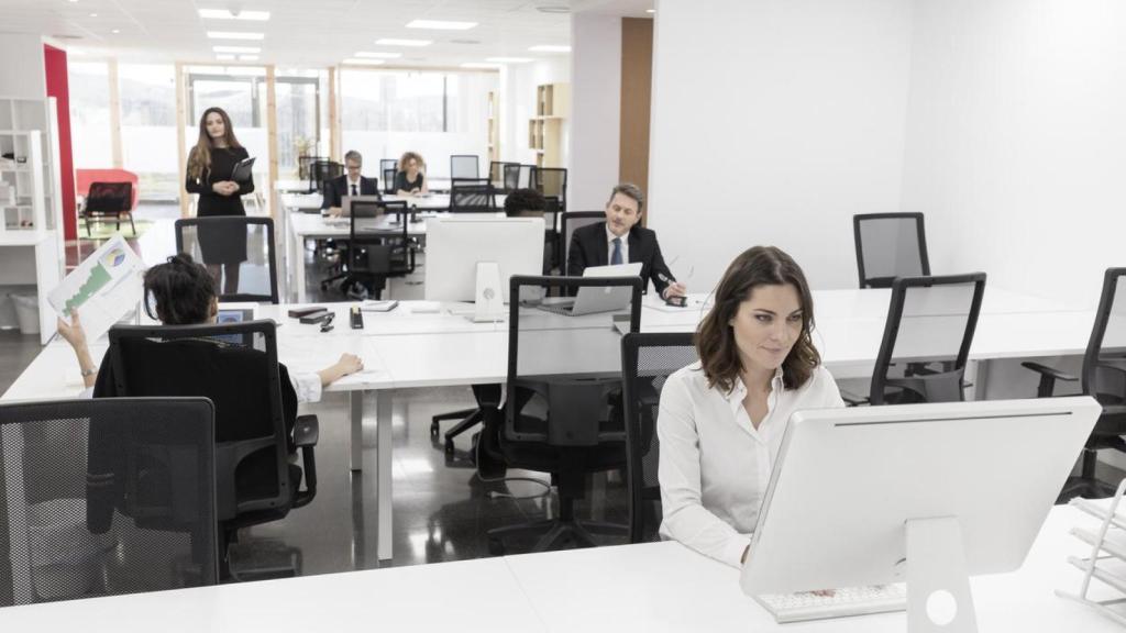 Grupo de empleados trabajando en una oficina.