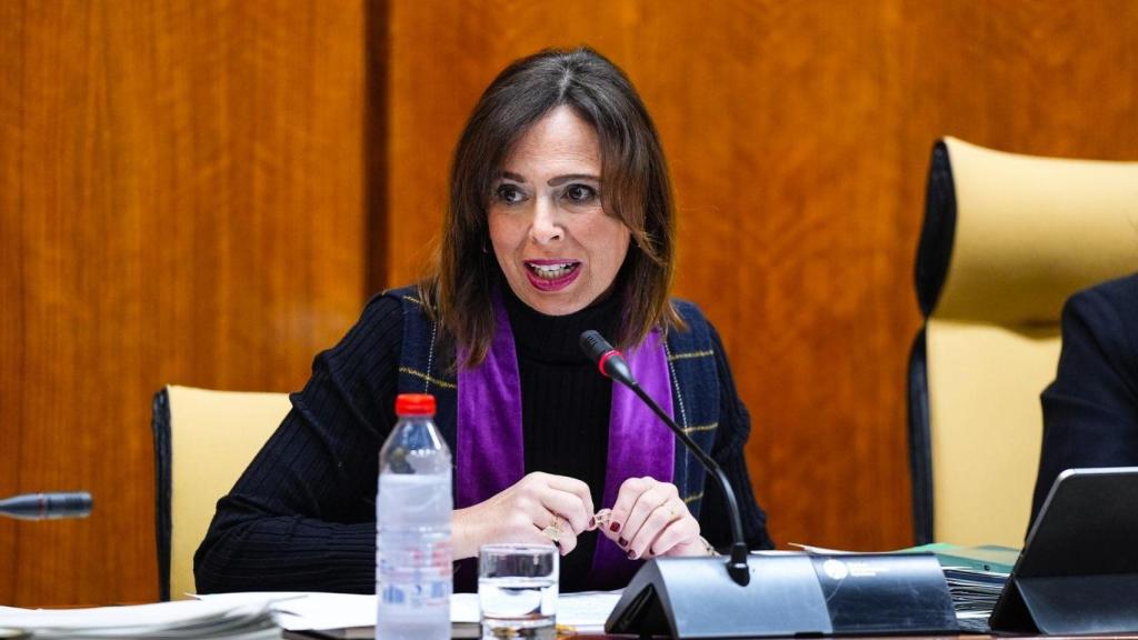 Imagen de la consejera de Fomento, Rocío Díaz.