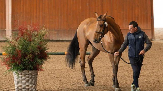 Arranca el CSI 5*W A Coruña 2024 en Casas Novas