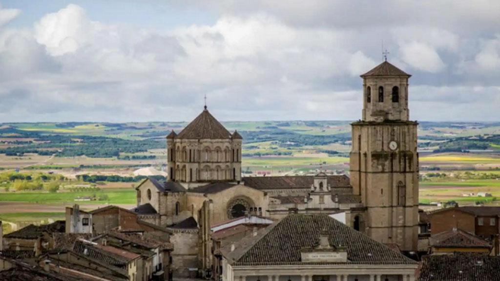 Toro en Zamora