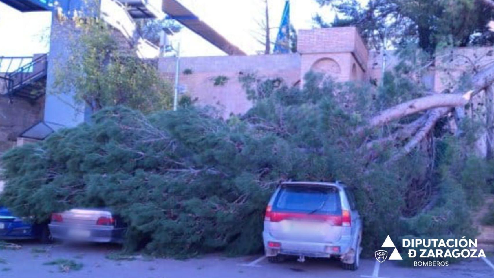 Un árbol de gran tamaño cae sobre tres coches en Gallur.