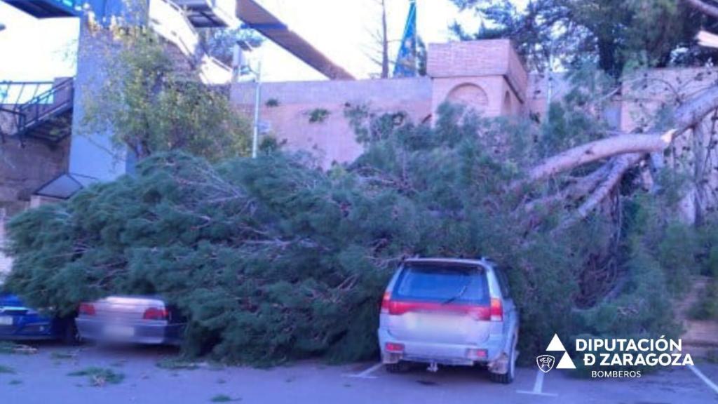 Un árbol de gran tamaño cae sobre tres coches en Gallur.