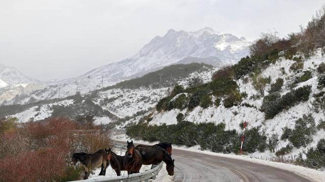 La nieve cubre la montaña de León en el puerto de Pajares y la comarca de los Argüellos